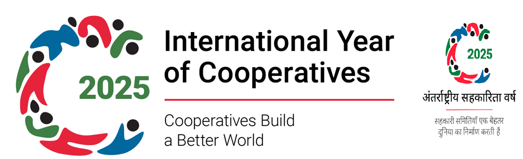 International Year Of Year 2025